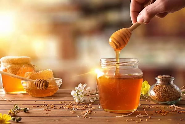 خرید عسل دارویی ارگانیک + قیمت عالی باکیفیت